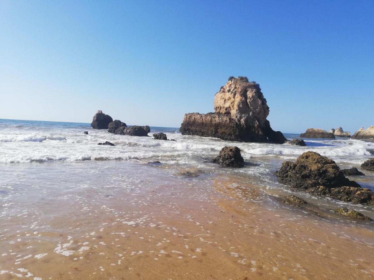 Rocha Praia Mar Beach Front Line Bay Portimão Dış mekan fotoğraf
